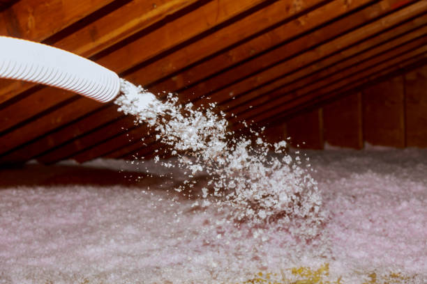 Best Attic Insulation Installation  in St Ignace, MI