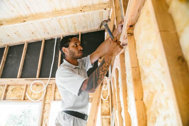 Best Residential Insulation Services  in St Ignace, MI