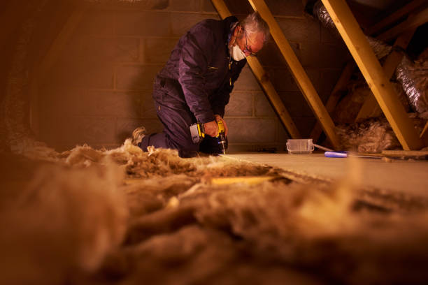Best Attic Insulation Installation  in St Ignace, MI