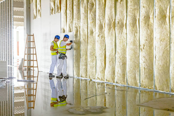 Garage Insulation Installation in St Ignace, MI